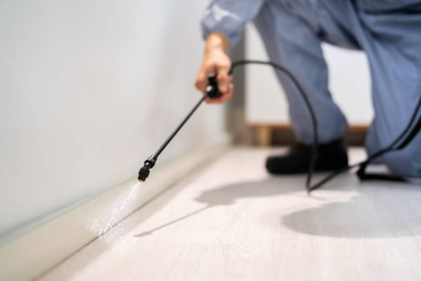 Certified termite inspector examining foundation in Coplay
